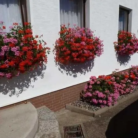 Im Ostseebad Apartment
